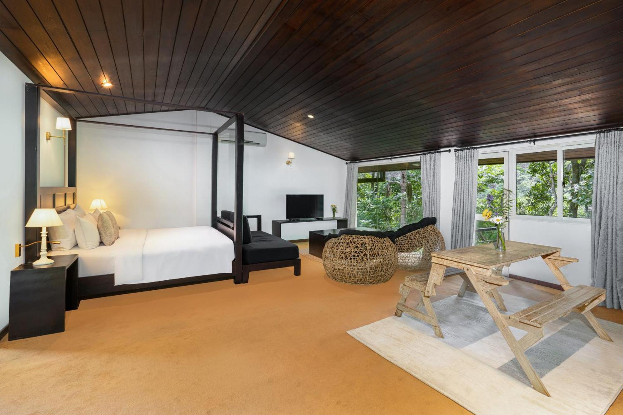 Studio with Forest View
